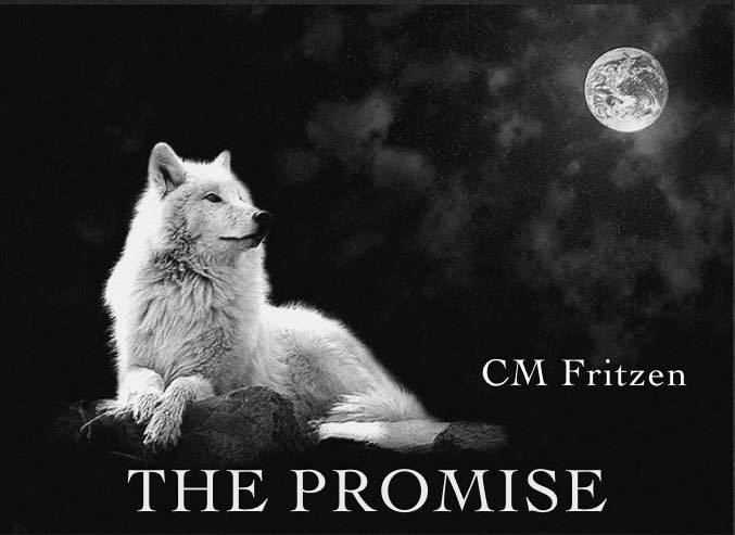 CM fritzen the promise